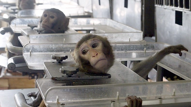 Mettre fin à l’expérimentation animale